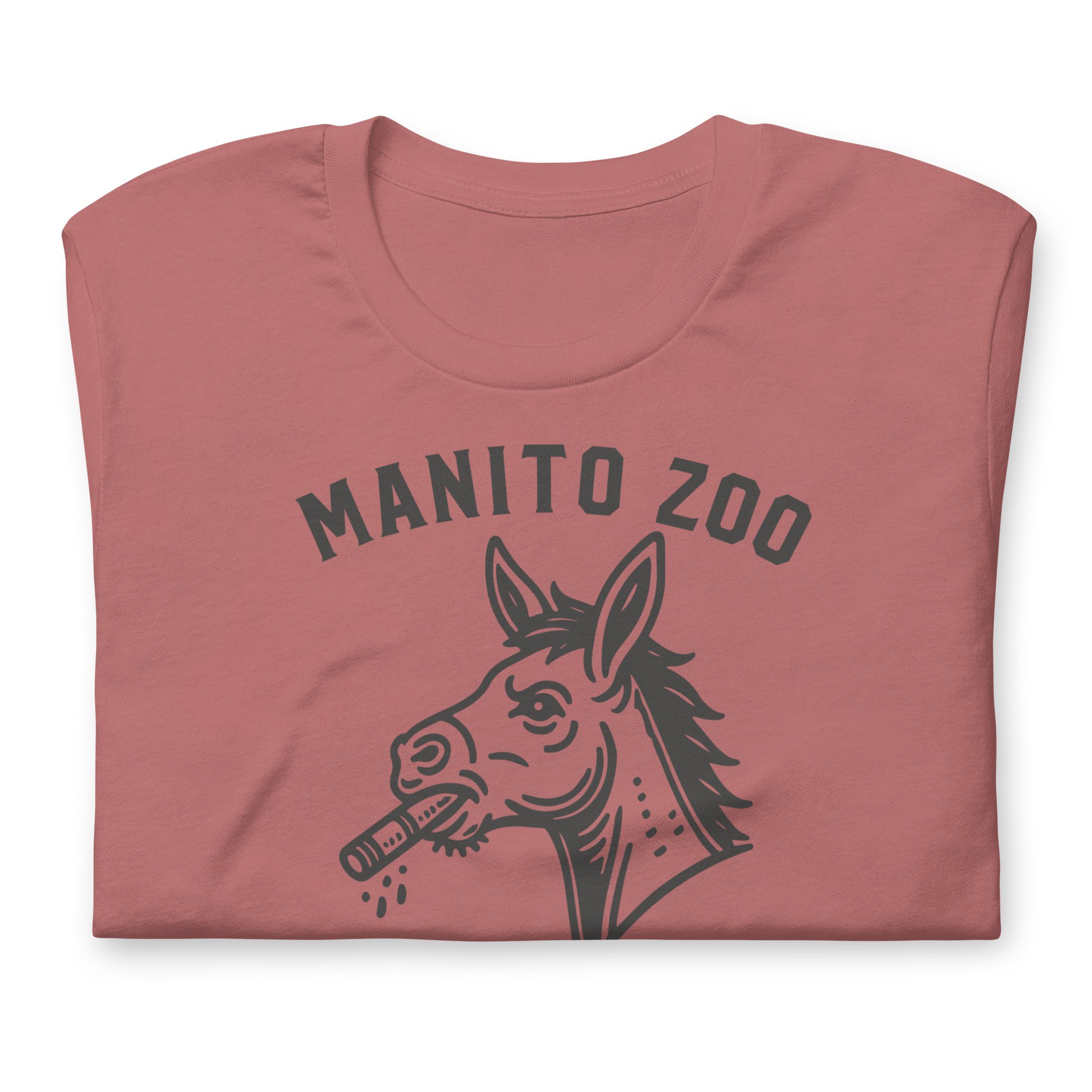 unisex-staple-t-shirt-mauve-front-66b18403e7a22.jpg