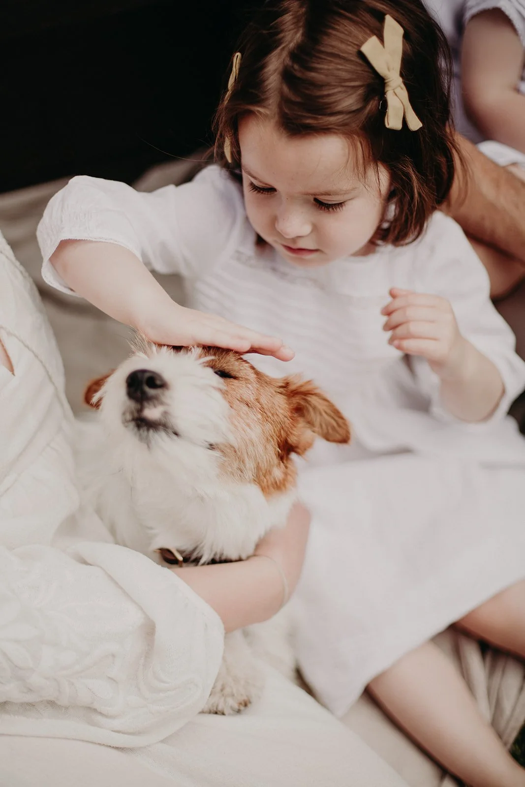 family-photography-with-dog-wagtail-productions-3.jpg