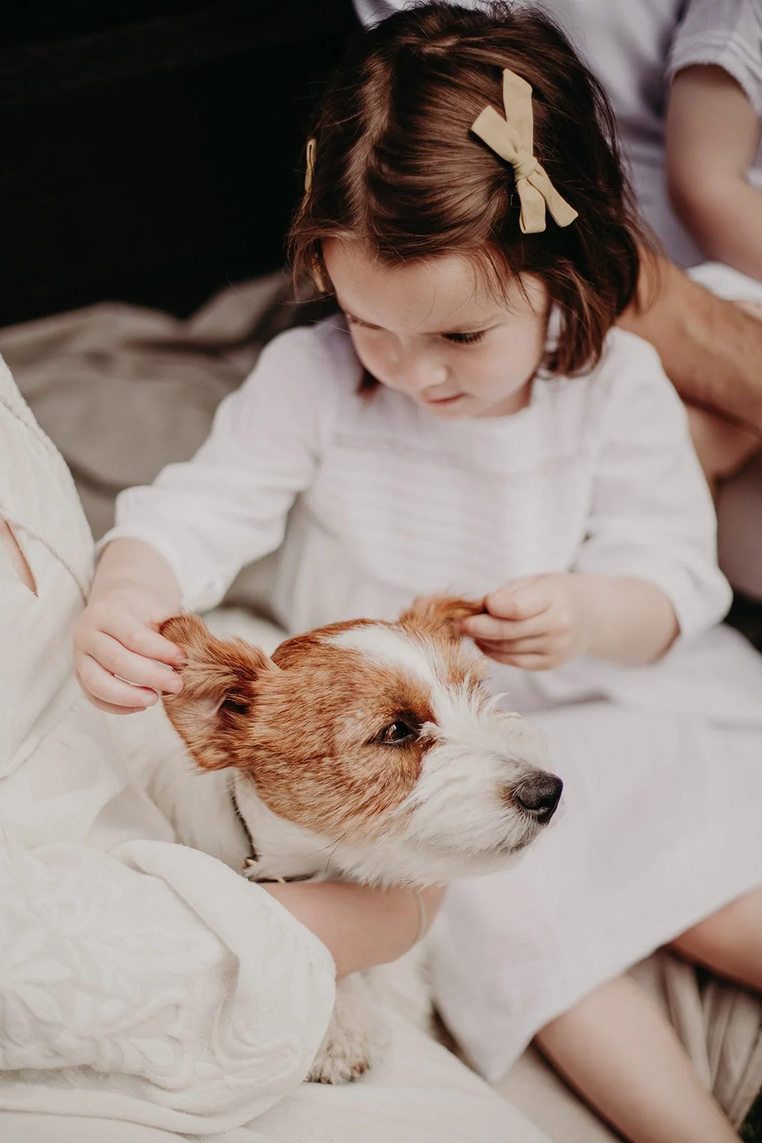 family-photography-with-dog-wagtail-productions-4.jpg