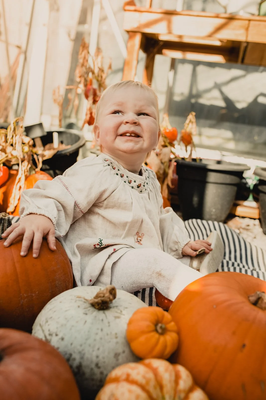 12-months-toddler-photography-12.jpg