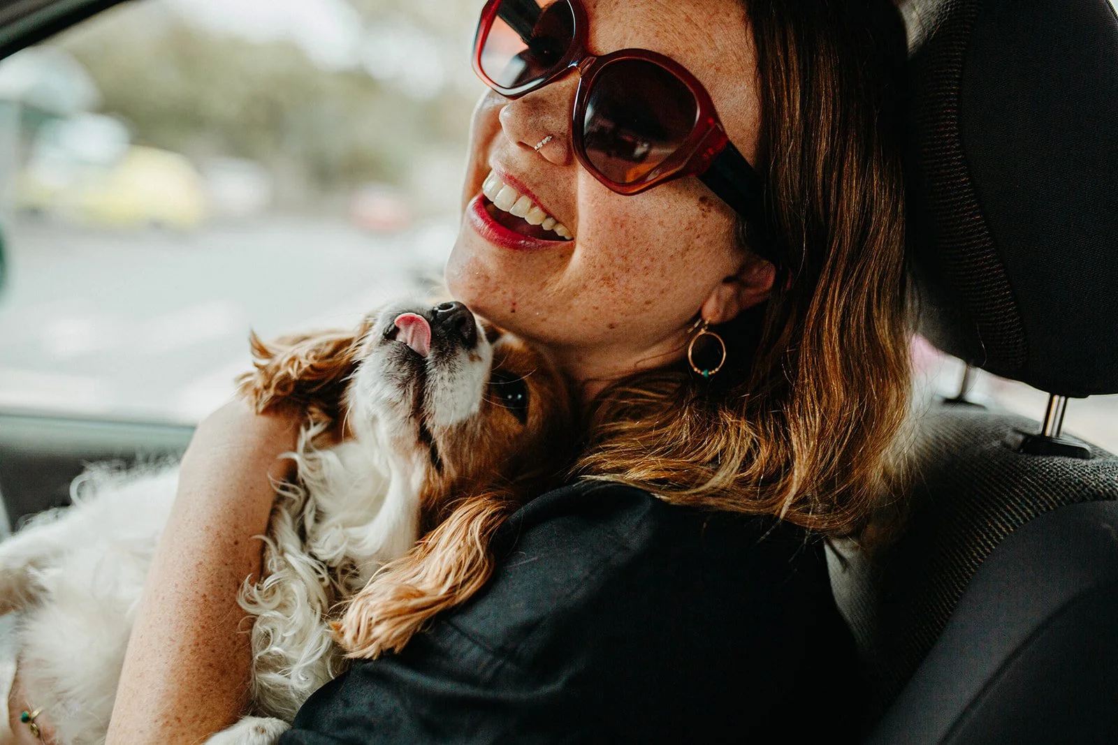 dog-photography-with-owner.jpg