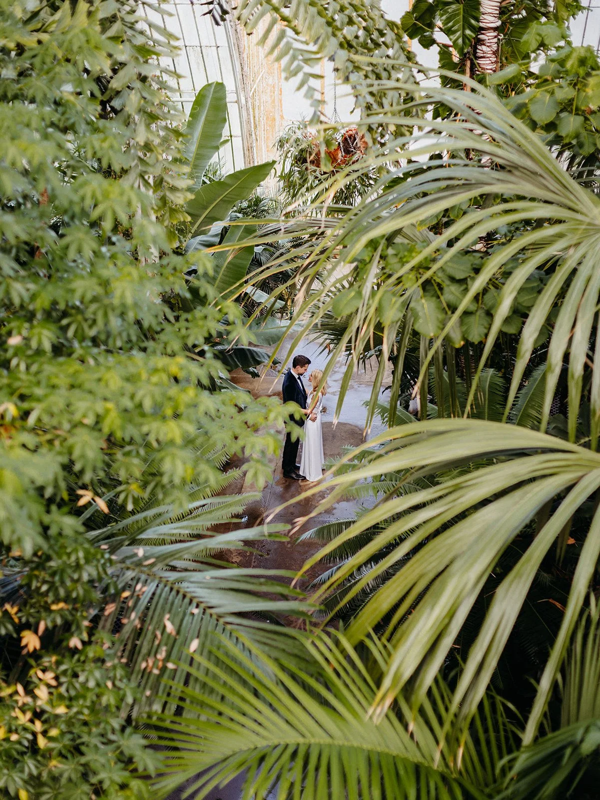 kew-gardens-temperate-house-wedding-photography-3.jpg