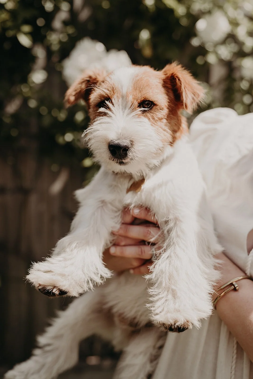 family-photography-with-dog-wagtail-productions-40.jpg