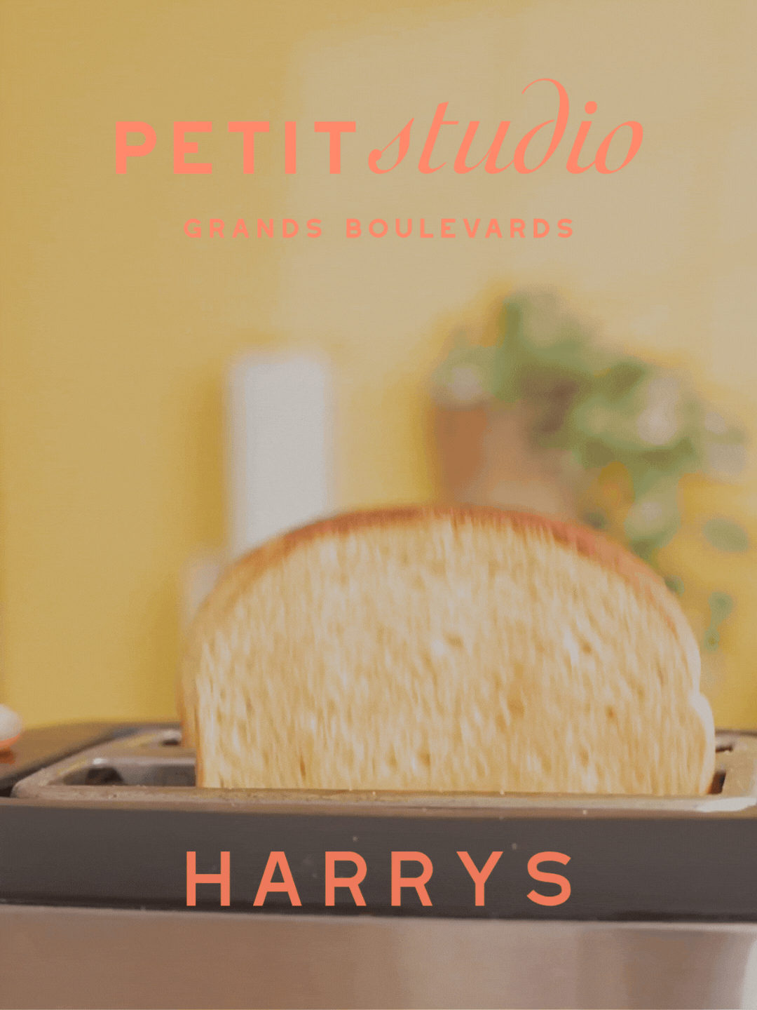 Harrys, Capter l’attention en phase de décision