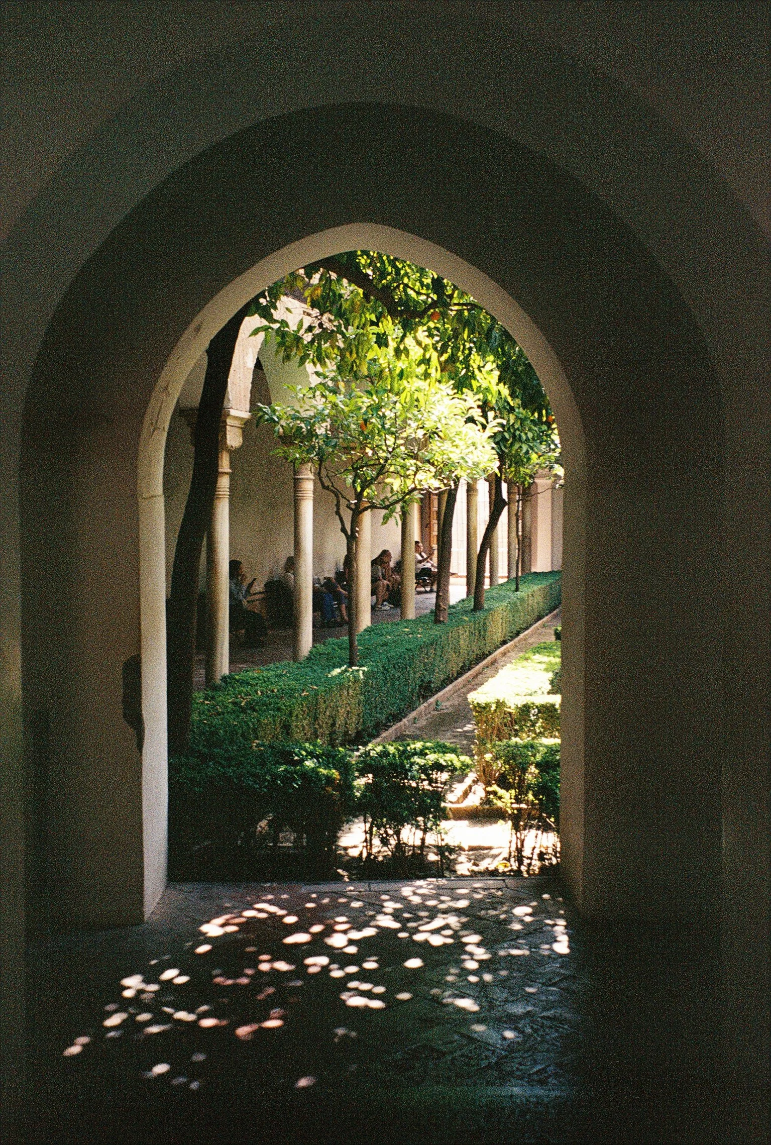 008744-R1-019-8.JPG