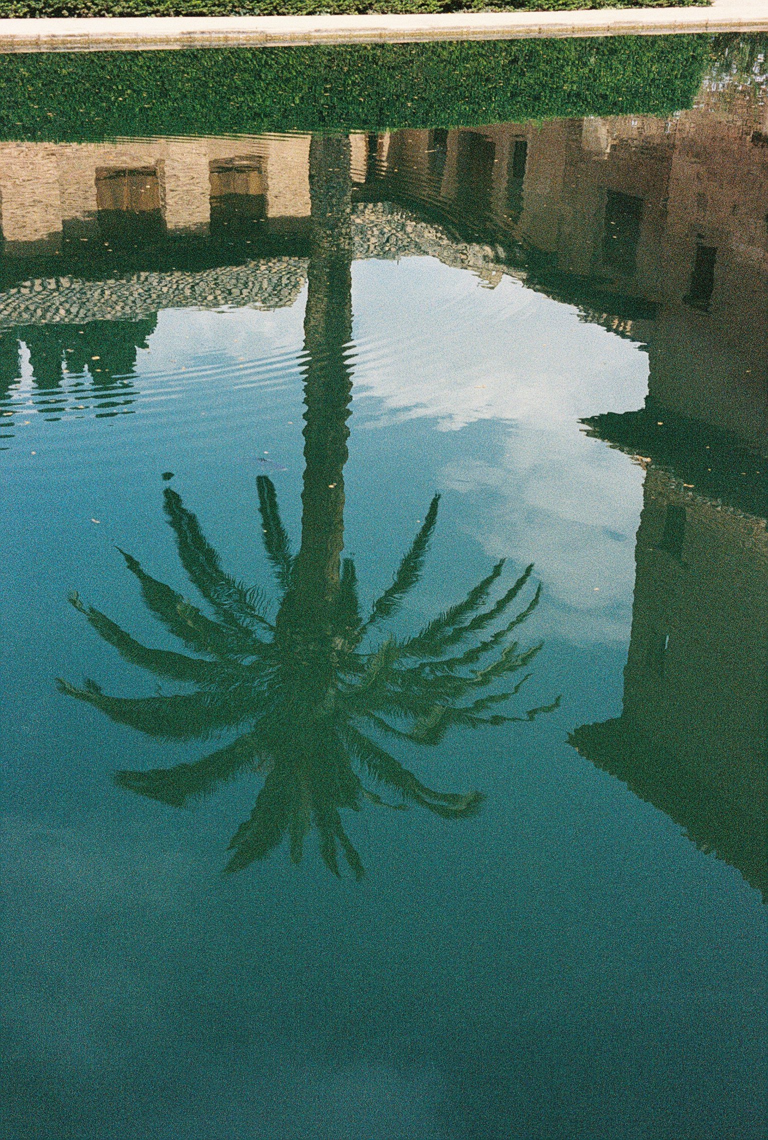 008744-R1-023-10.JPG
