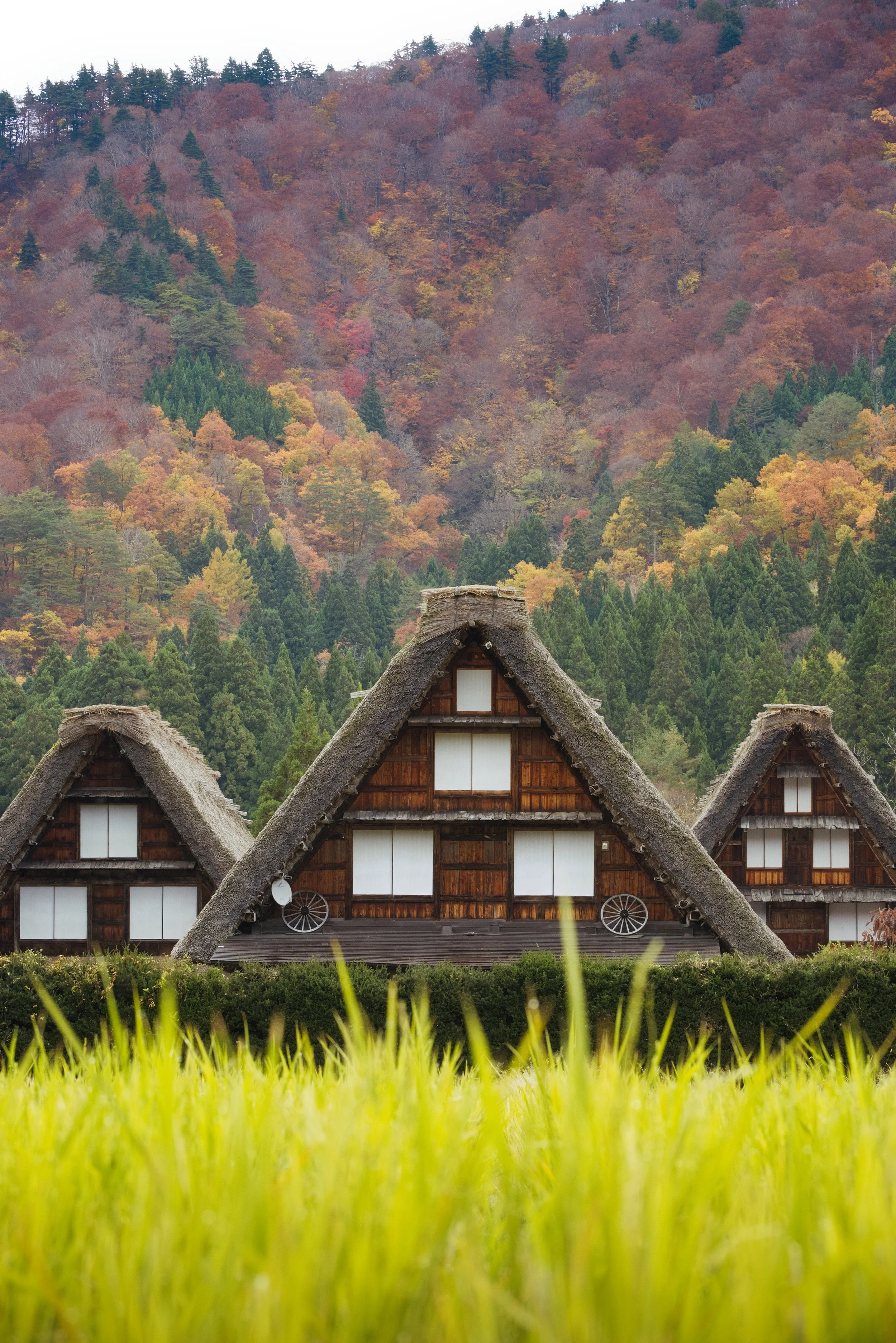 Shirakawago_Three_Houses.jpg