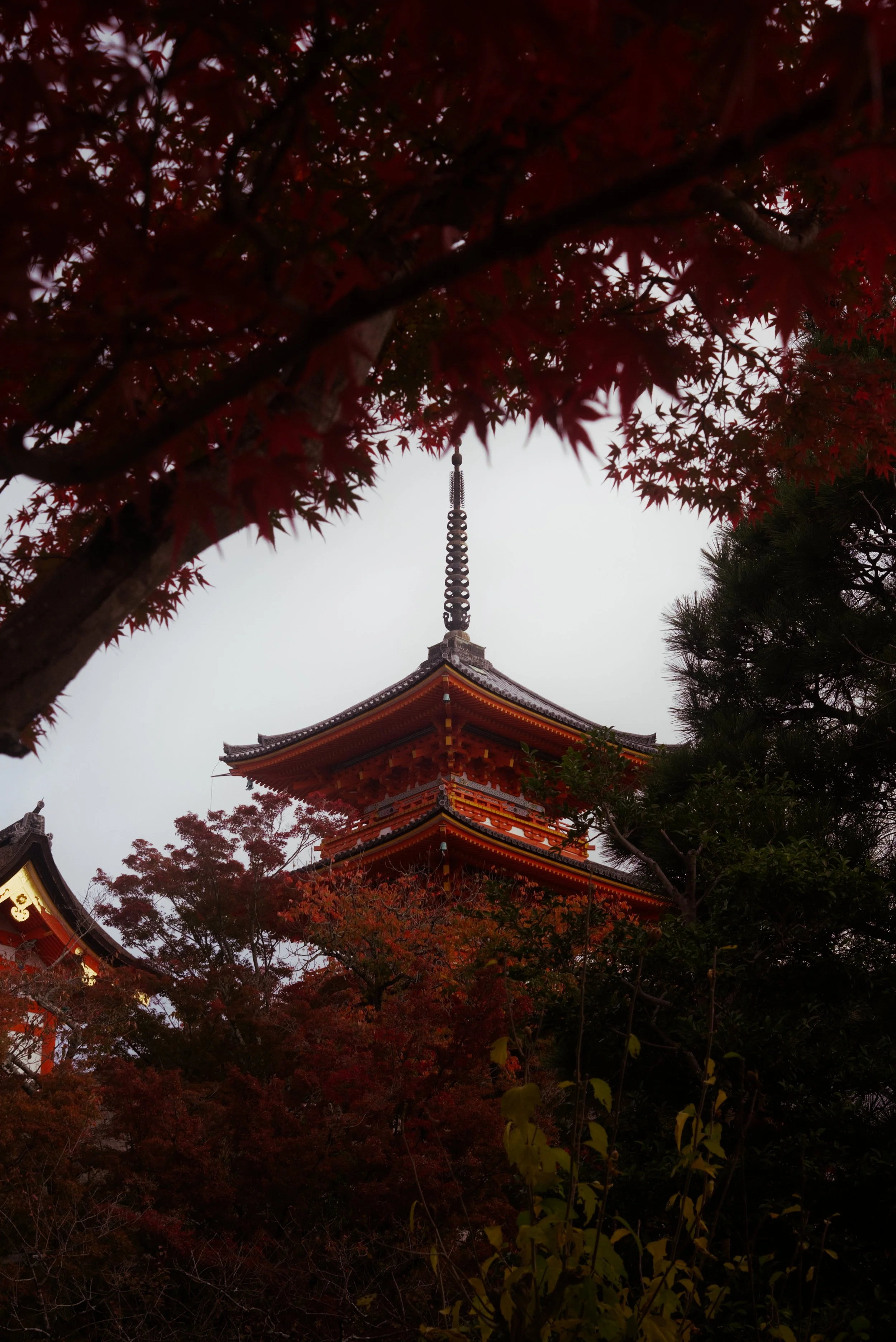 Kiyomizu_Shrub_Temple.jpg