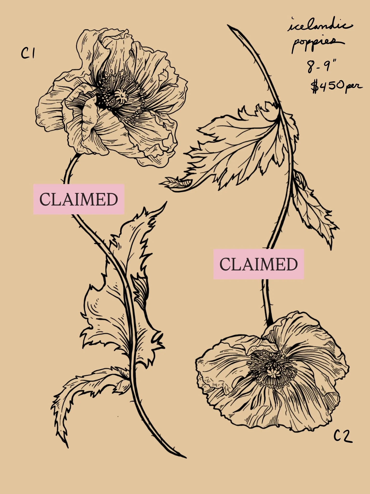 Untitled_Artwork 78.jpg