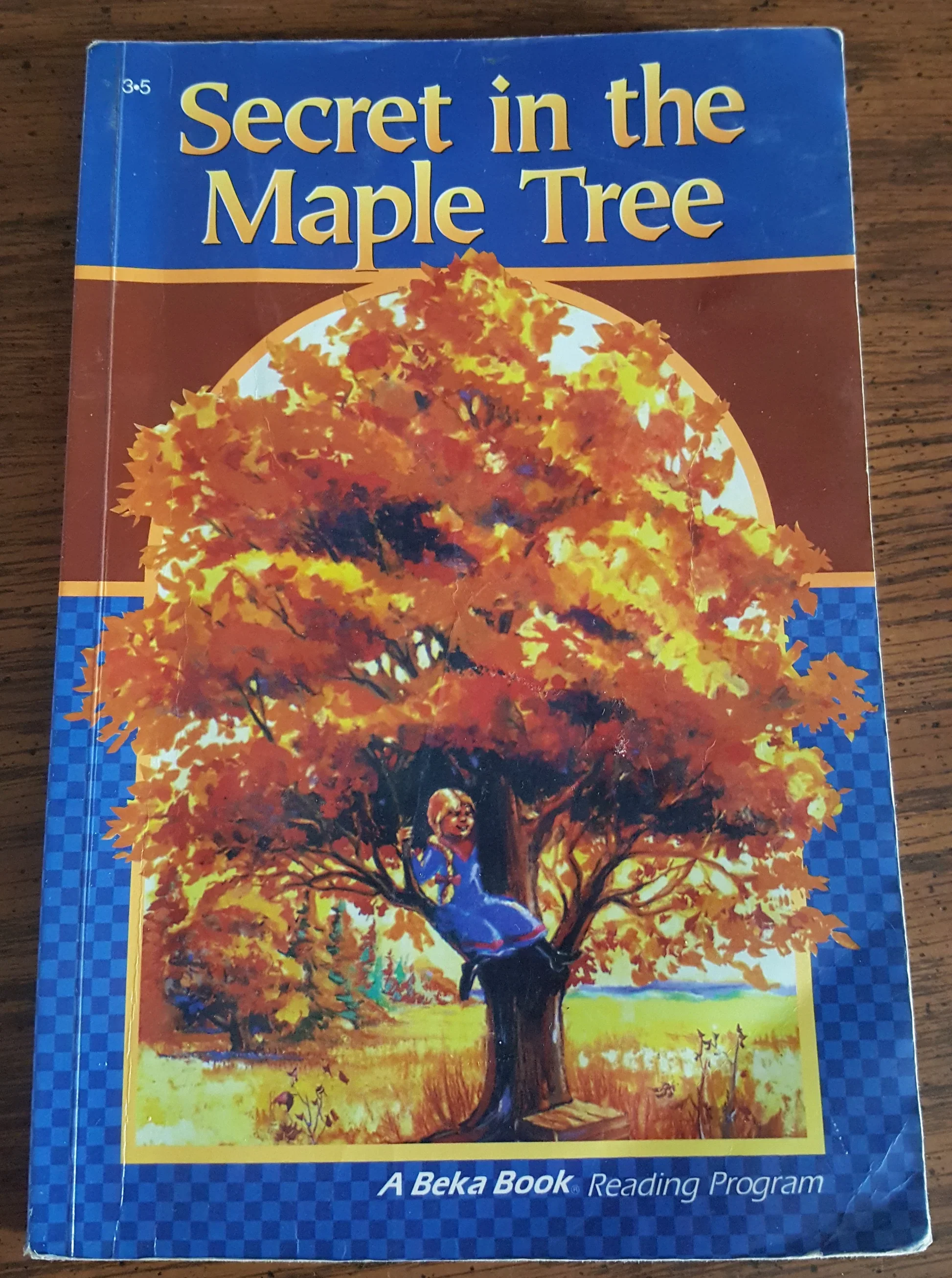 secret older imiage.webp