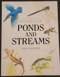 ponds.jpg