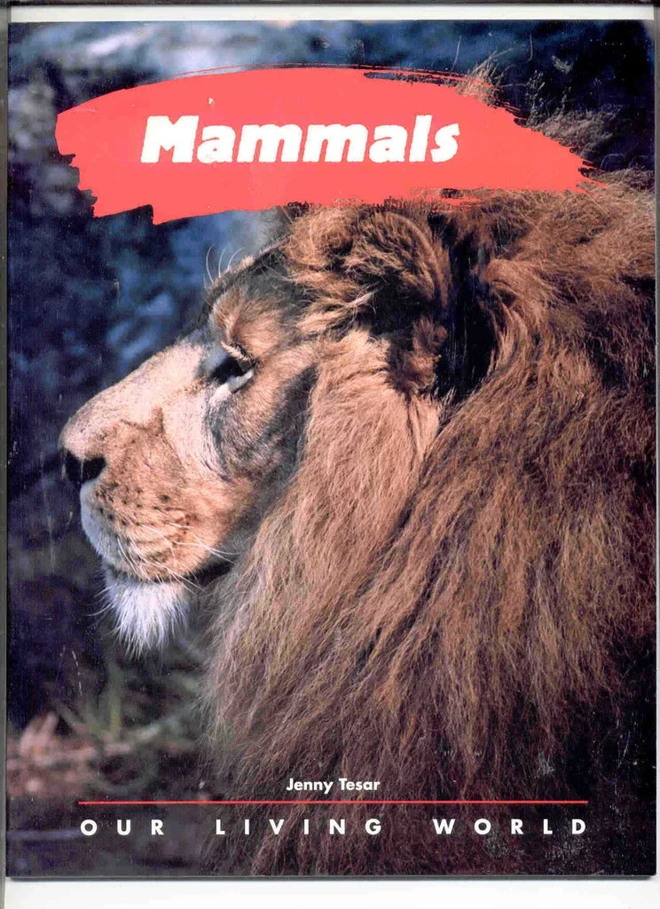 mammal.webp