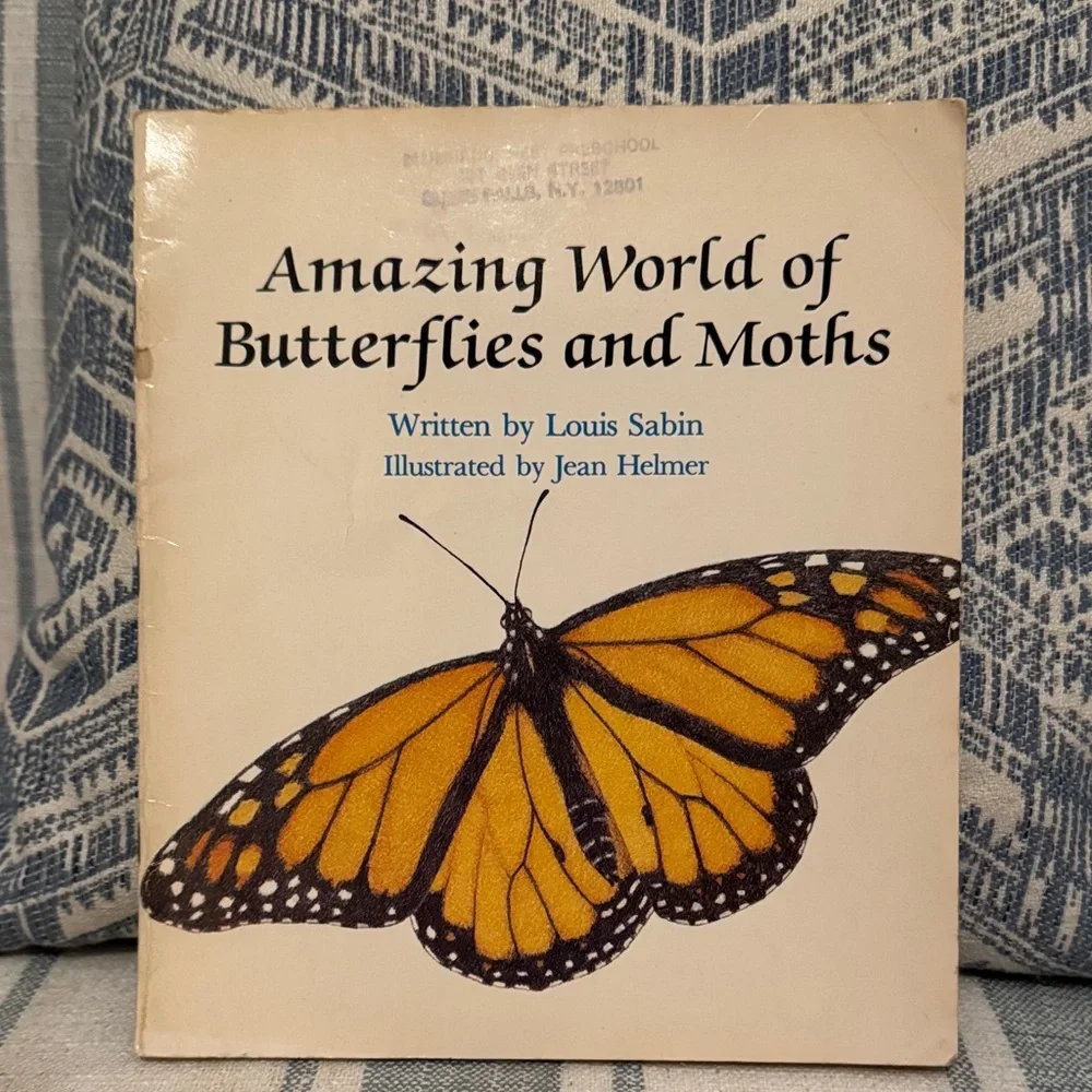 butterf.webp
