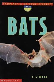 bats.jpg