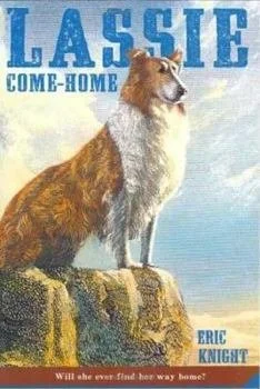 lassie.jpeg