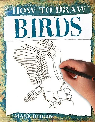 How To Draw Birds.webp