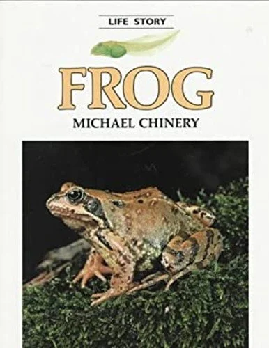 frog.jpg