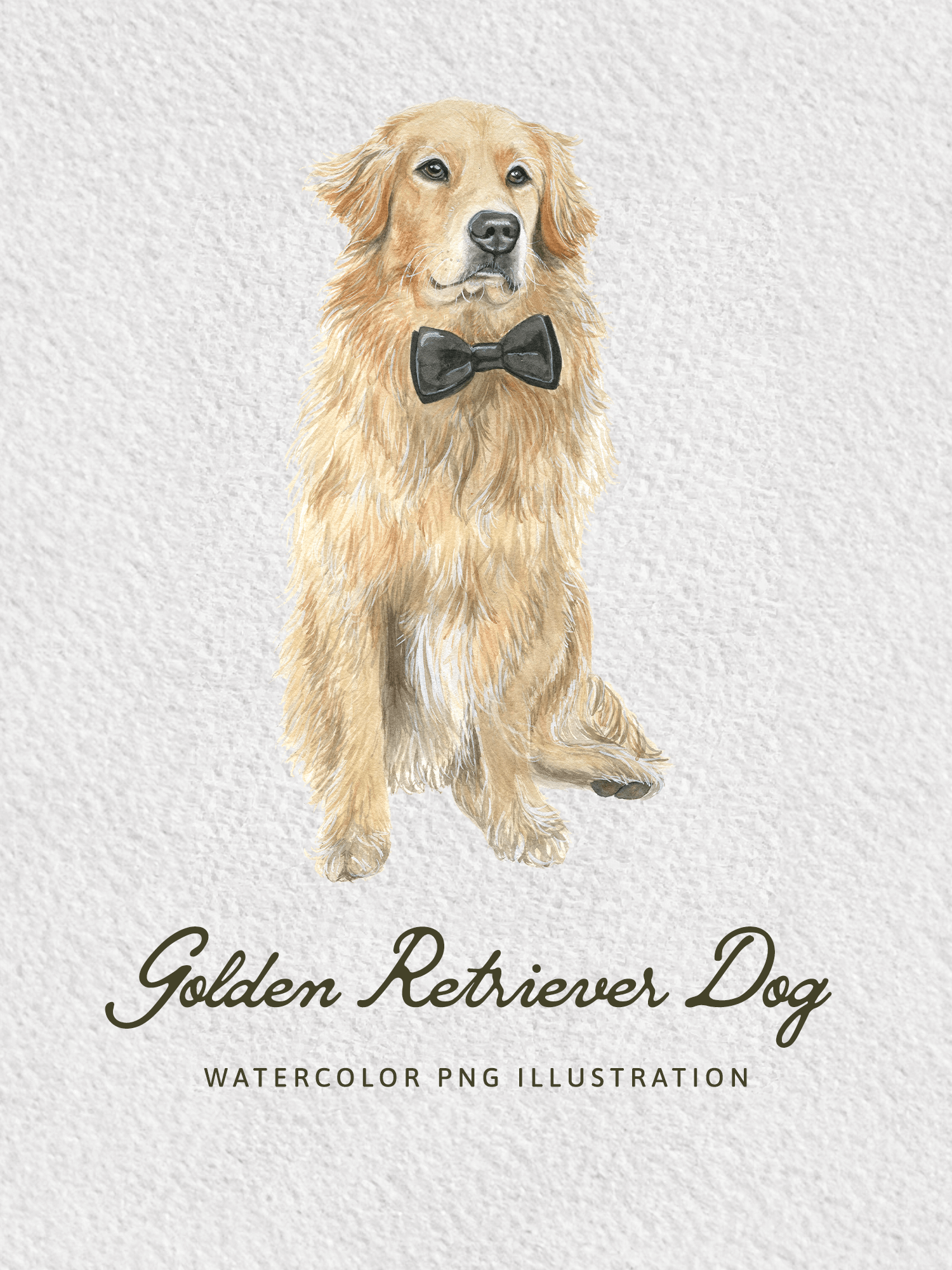 golden-retriever-dog-bowtie-watercolor-png-illustration.png