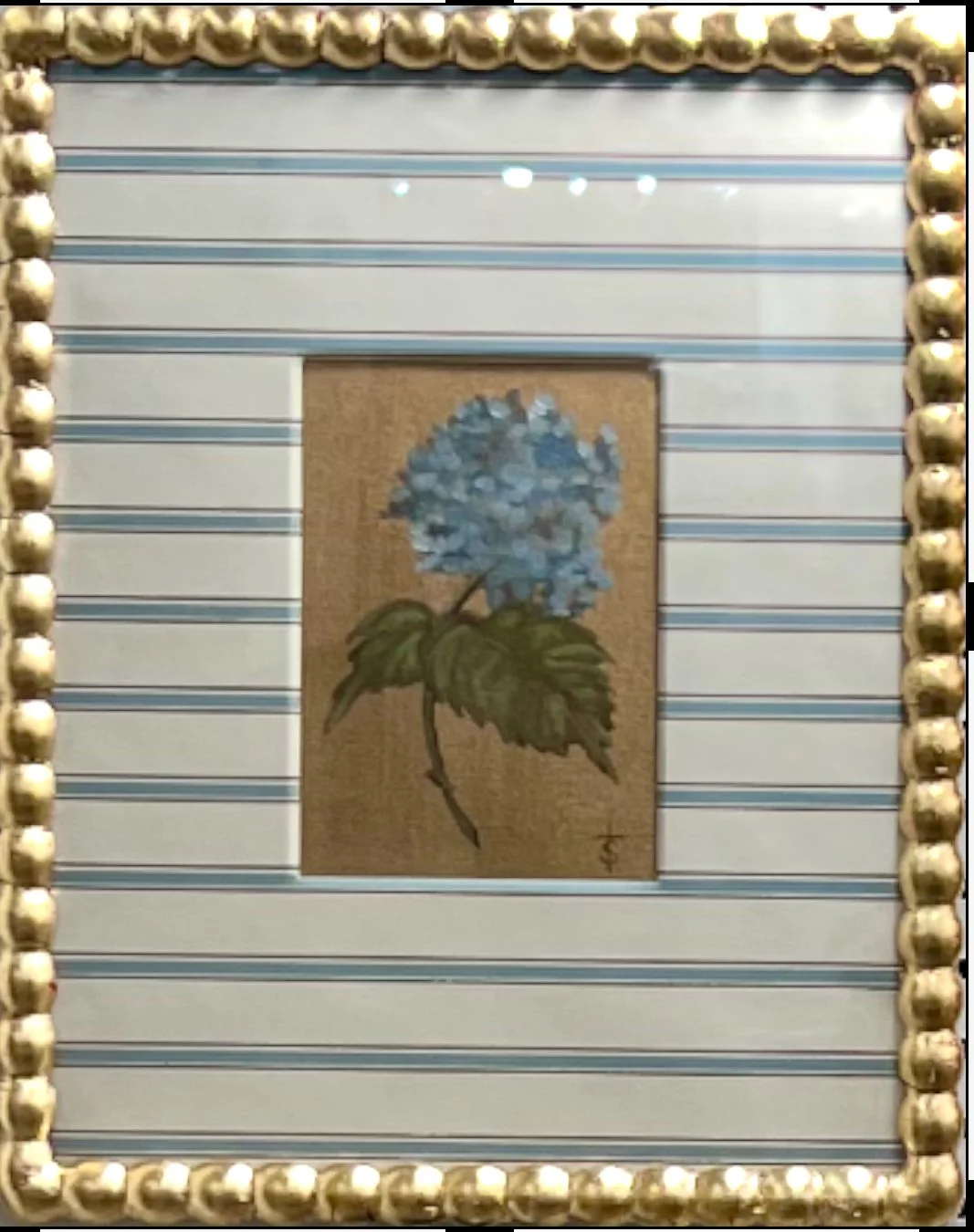 Blue Hydrangea Blue Stripe.jpg