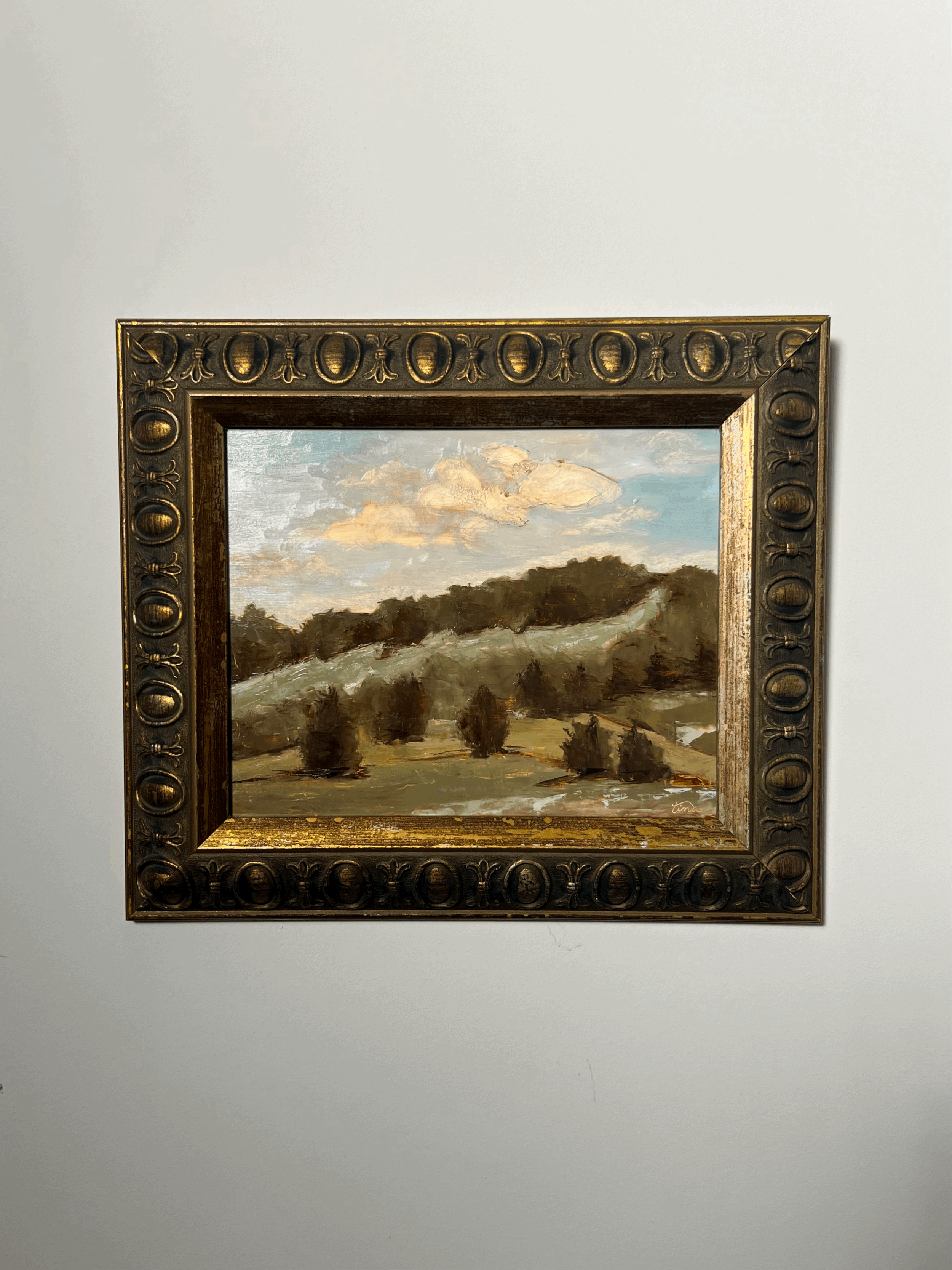 Hilltop Canopy