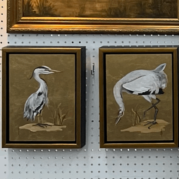 Whooping Crane