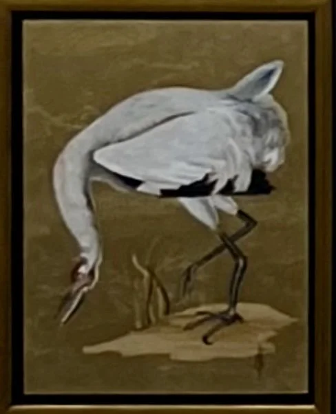 white crane floater2.jpg