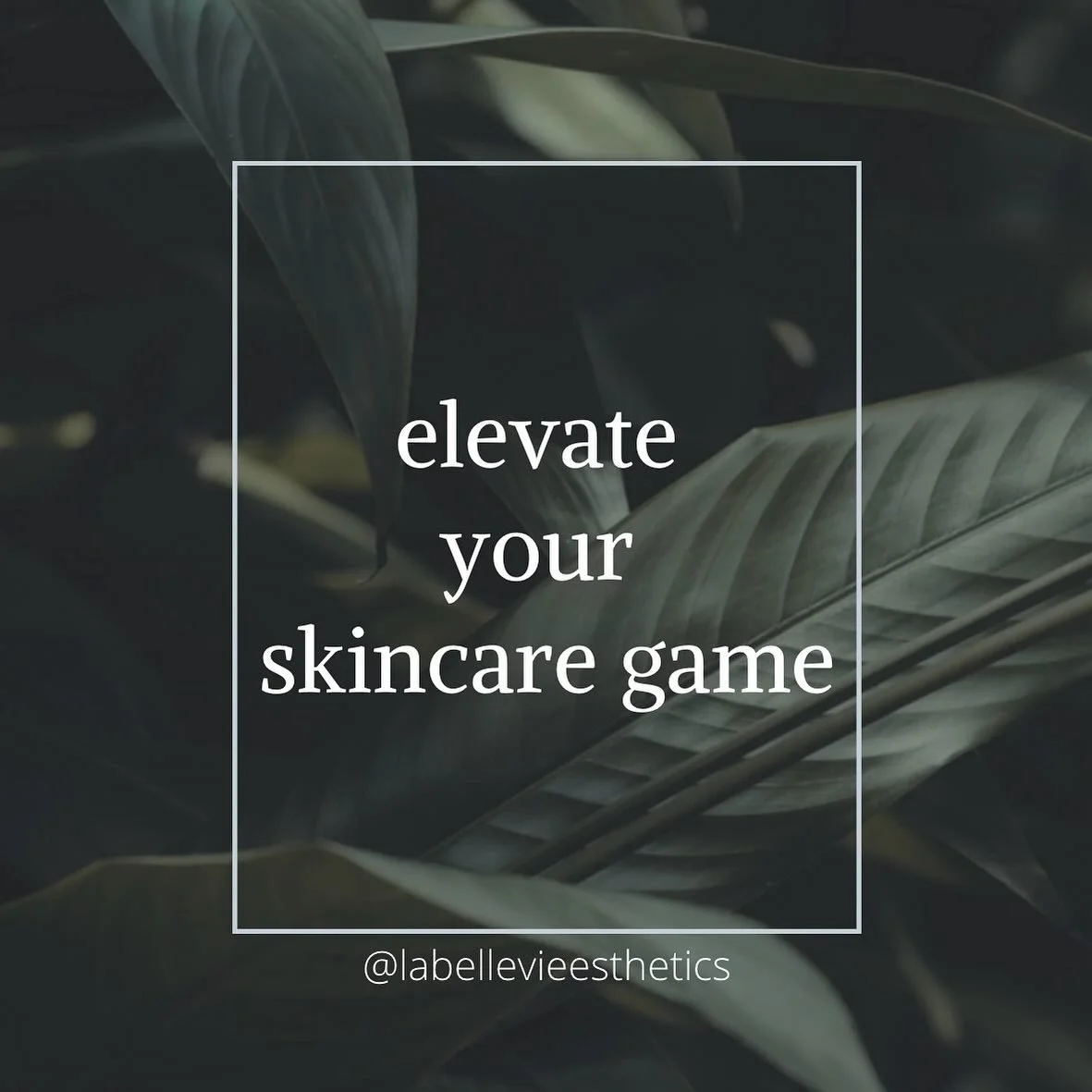 Heard it here first!!

Feel free to reach out regarding ANY skincare or ingredient recommendations for your skin.. everyone&rsquo;s skin is different, what works for one person necessarily won&rsquo;t always work for another face!

#themoreyaknow #sk