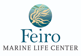 Feiro Logo.png