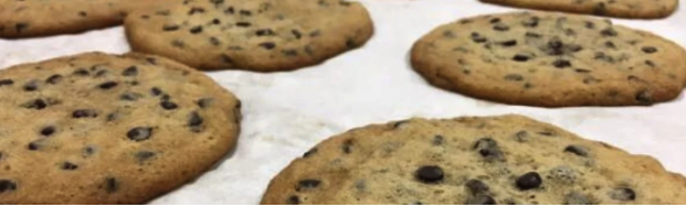 Oronoque Farms Chocolate Chip Cookies