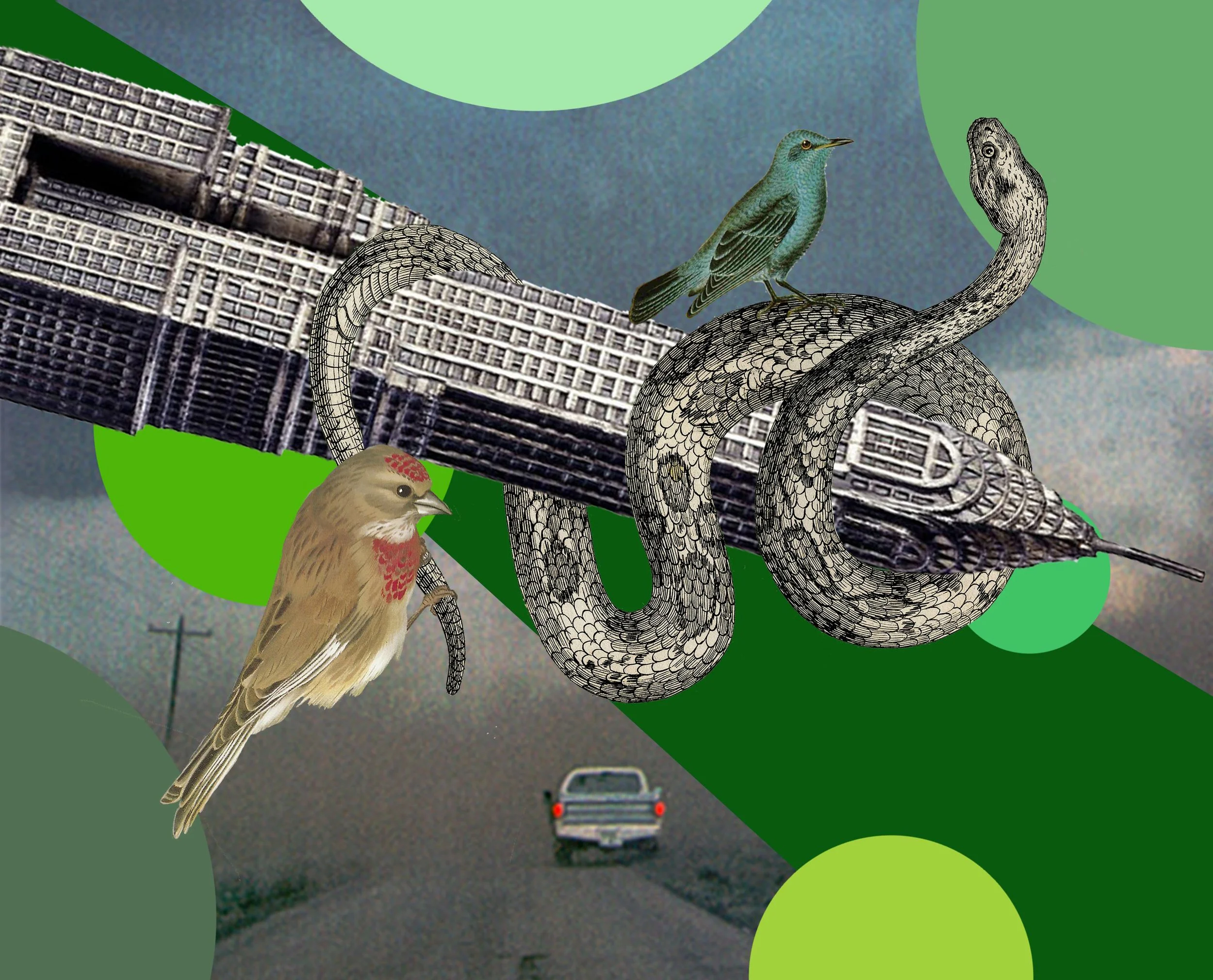 Zack Schwartz_Computer Graphics.jpg