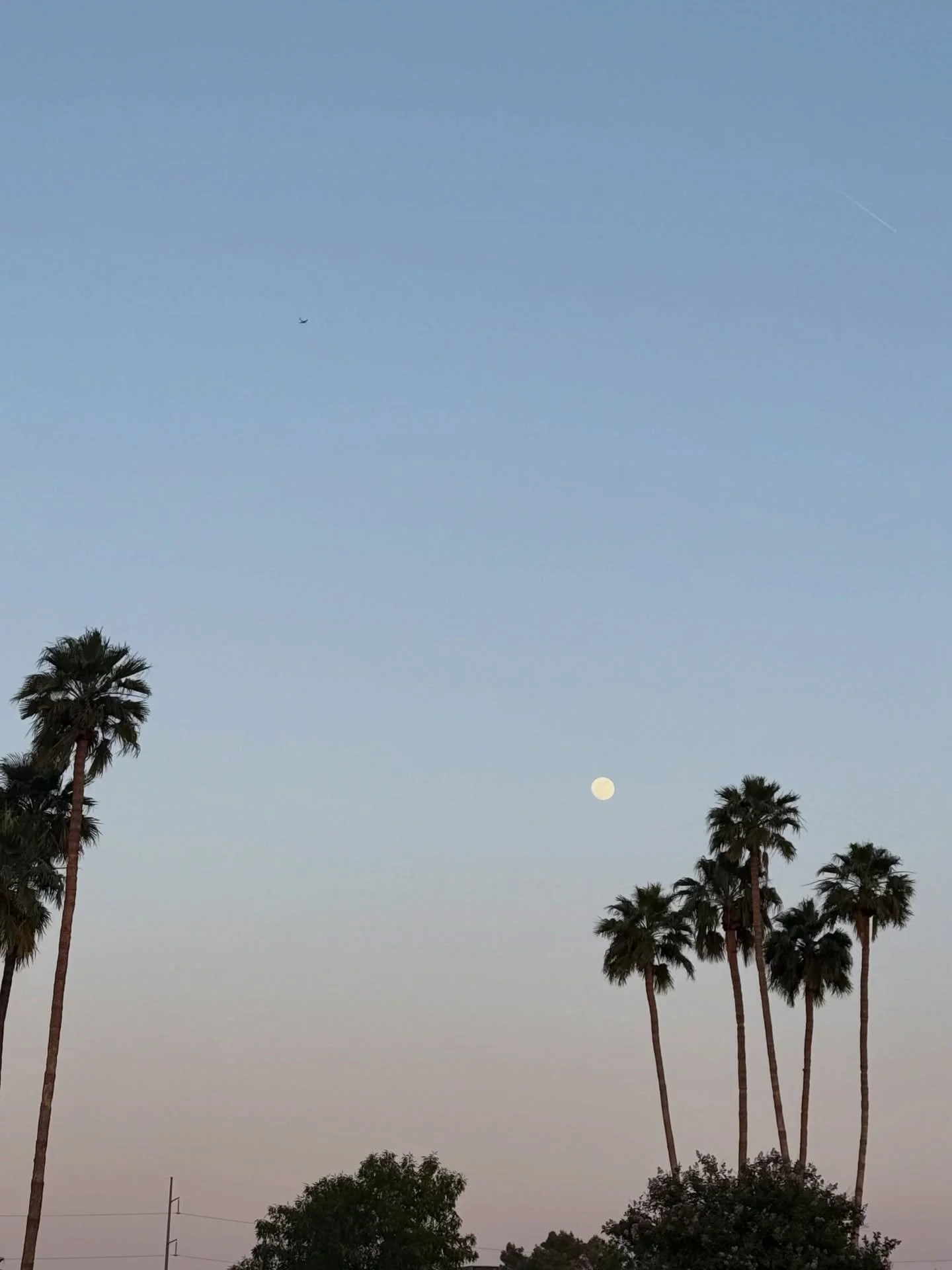 in love with the moon 🌕

a constant no matter where you go in the world, it always makes its appearance. but the moon seems bigger in some places, especially in the desert and by the ocean. always searching for it, celebrating it, and admiring it wi