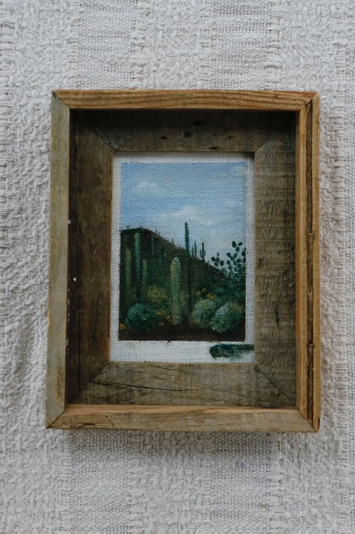 Cacti Garden No. 1 - Mini Study