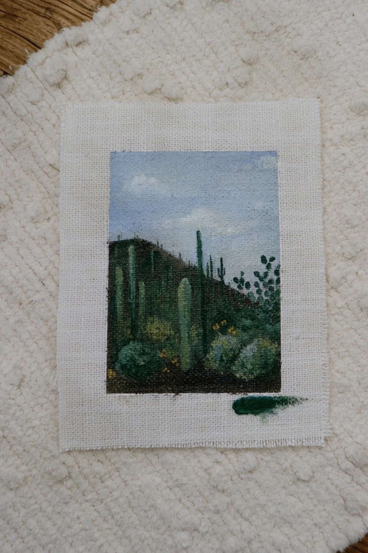 Cacti Garden No. 1 - Mini Study