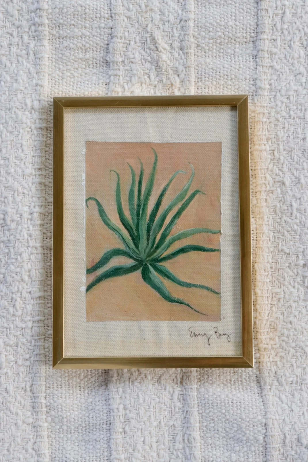 Agave - Original Botanical Painting