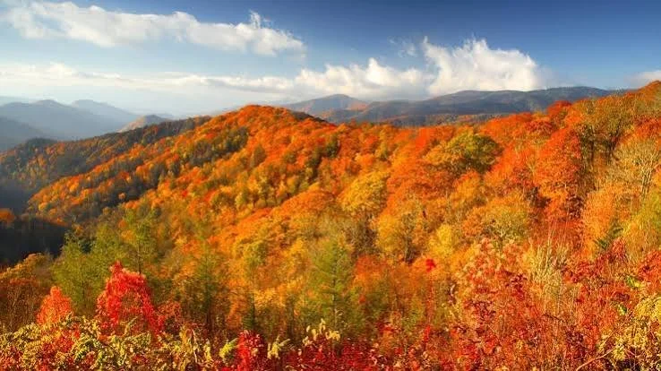 McCall in September: Why Fall Is the Best-Kept Secret Season