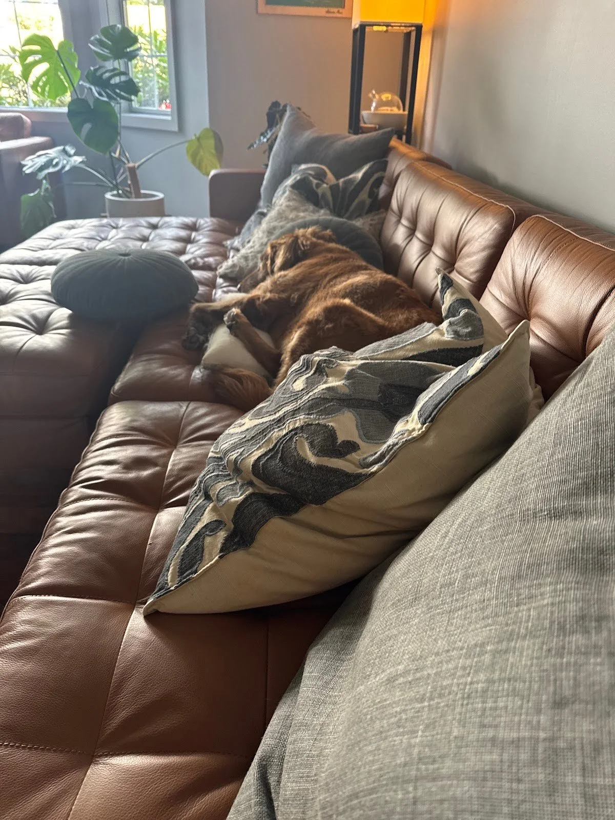 Week 39-Week 42: G6 #biz + #life