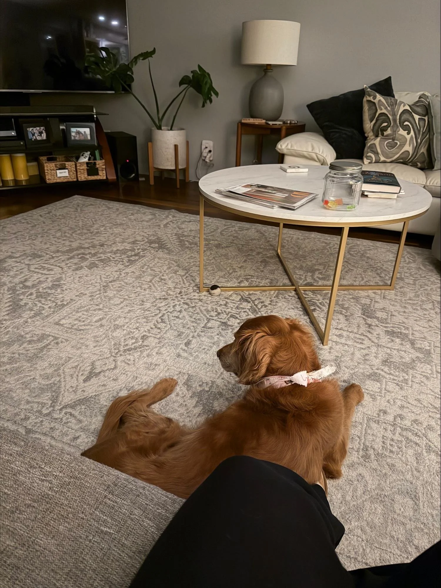 Week 8: G6 #biz + #life