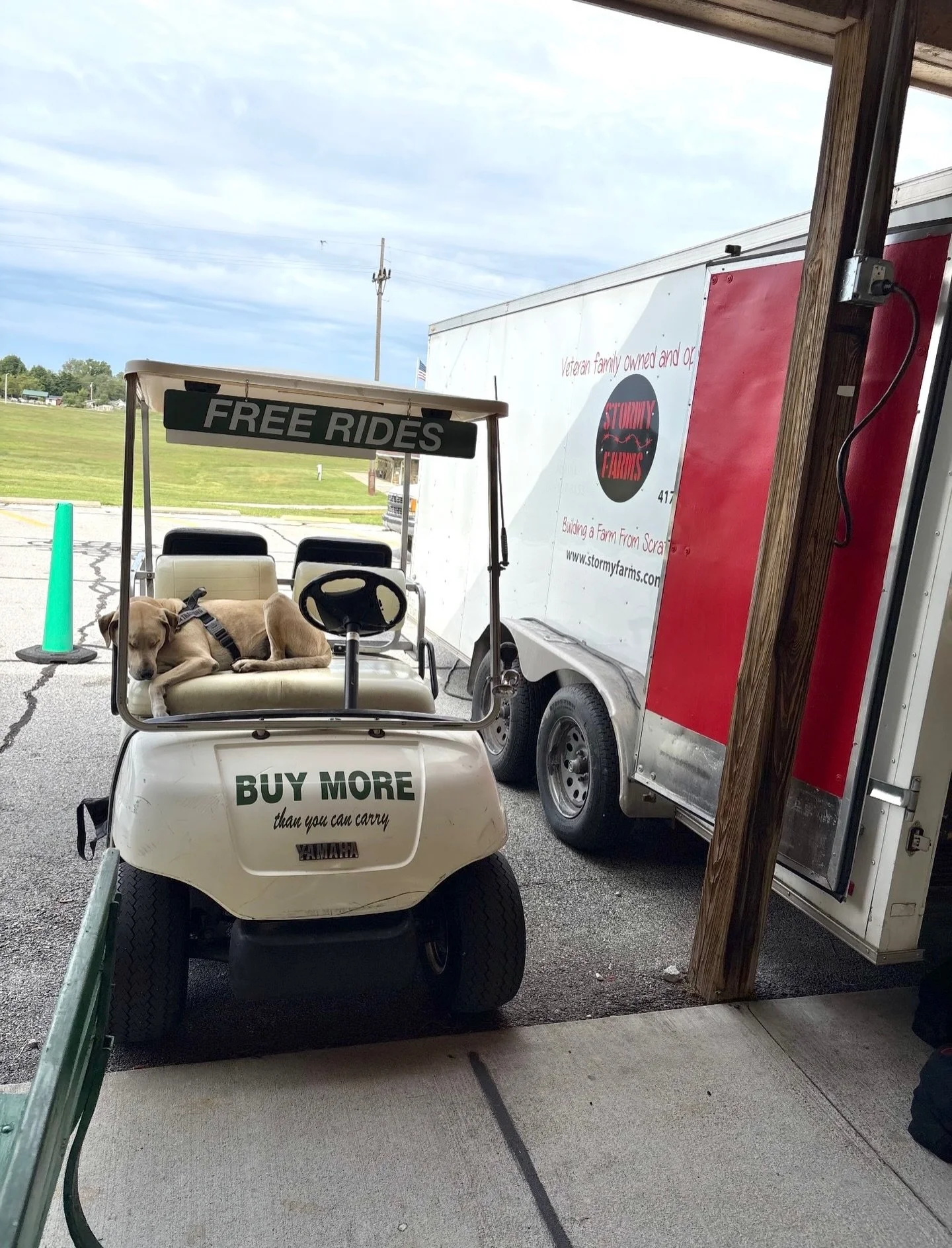Dreaming of sunshine and green fields&hellip; but we&rsquo;ll take cozy market mornings too.

We&rsquo;ll be at the @webbcityfarmersmarket tomorrow, Saturday 9&ndash;12, in the heated pavilion.

#beef #grassfed #local