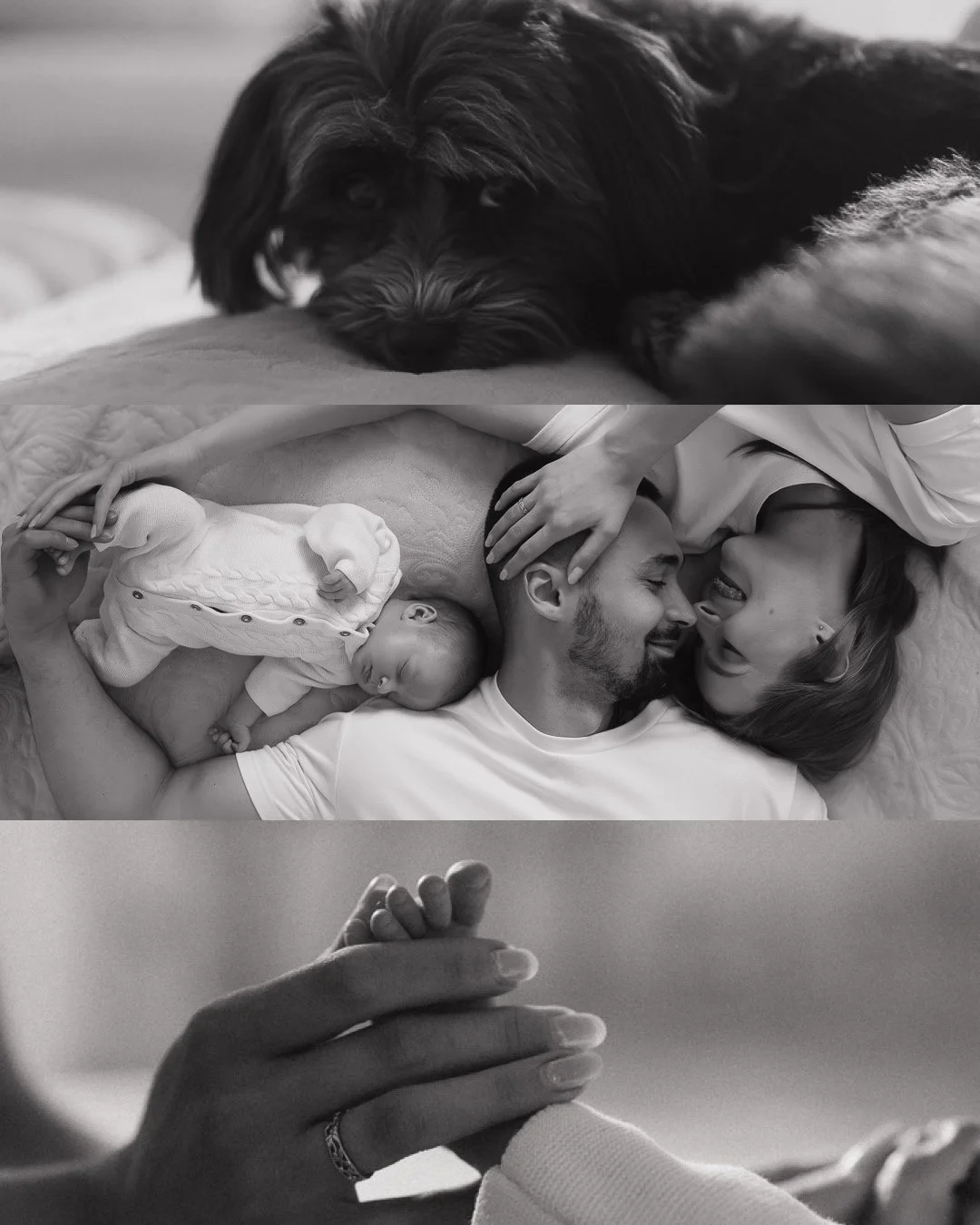 Bruno’s homecoming