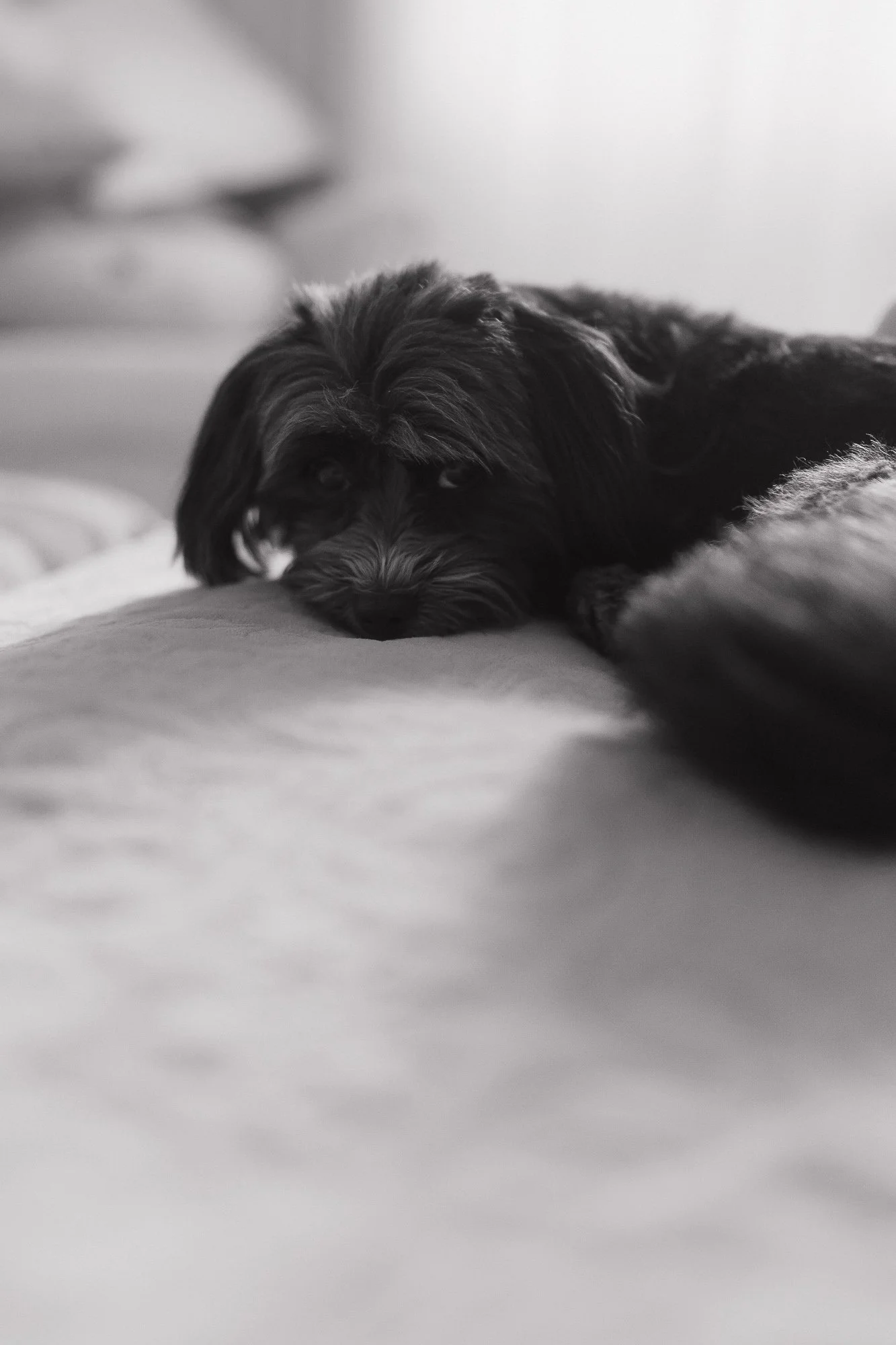 Ani&Wojtek_www (27 z 27).jpg