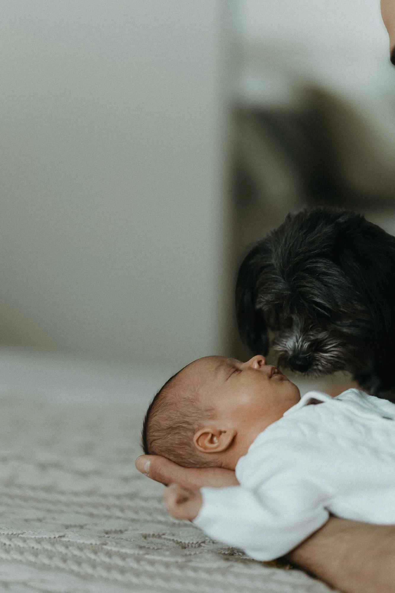 Ani&Wojtek_www (1 z 27).jpg