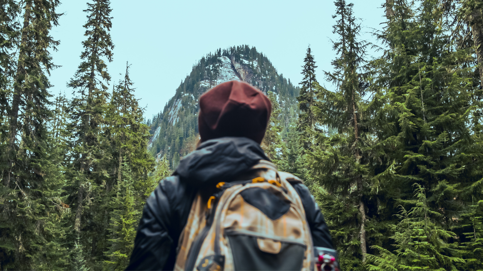 A person wearing a brown hat, black jacket, and backpack stands in a forest, looking up at a tall rocky mountain surrounded by evergreen trees.
