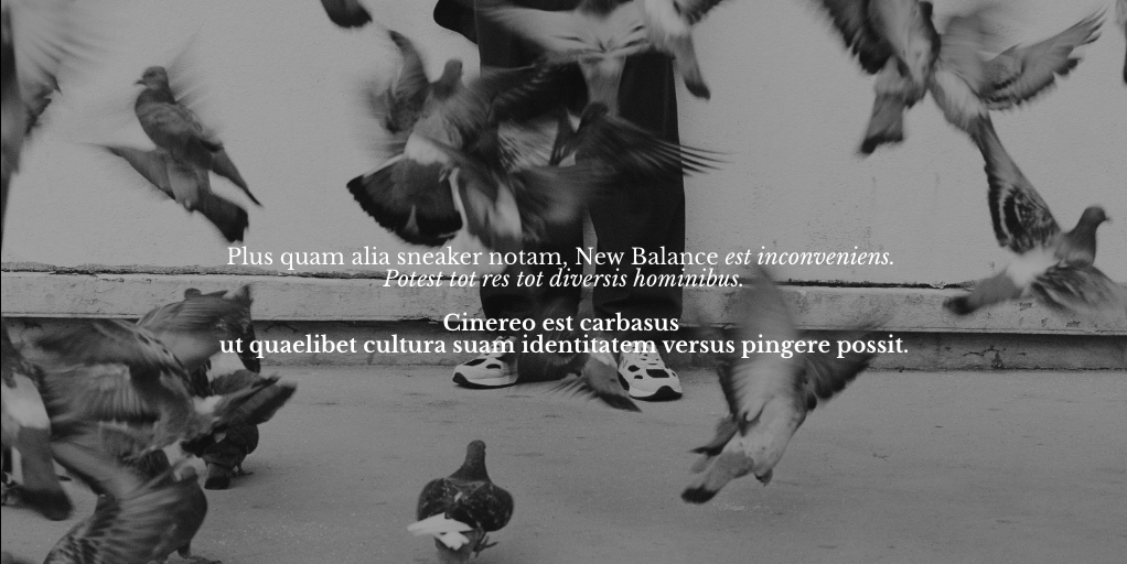 Screenshot 2024-11-06 at 10.41.03 AM.png