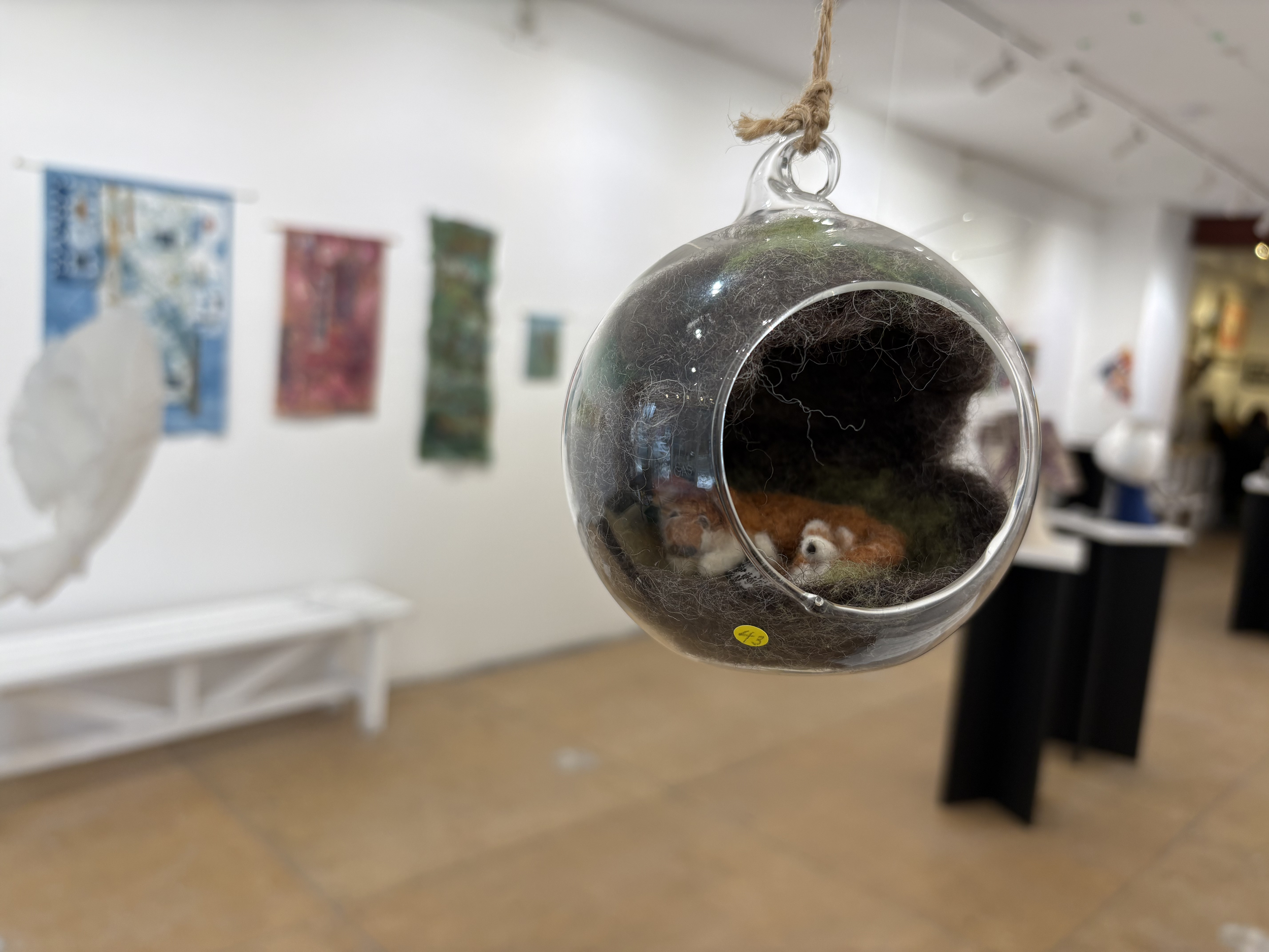 Nancy Johnston 2.png