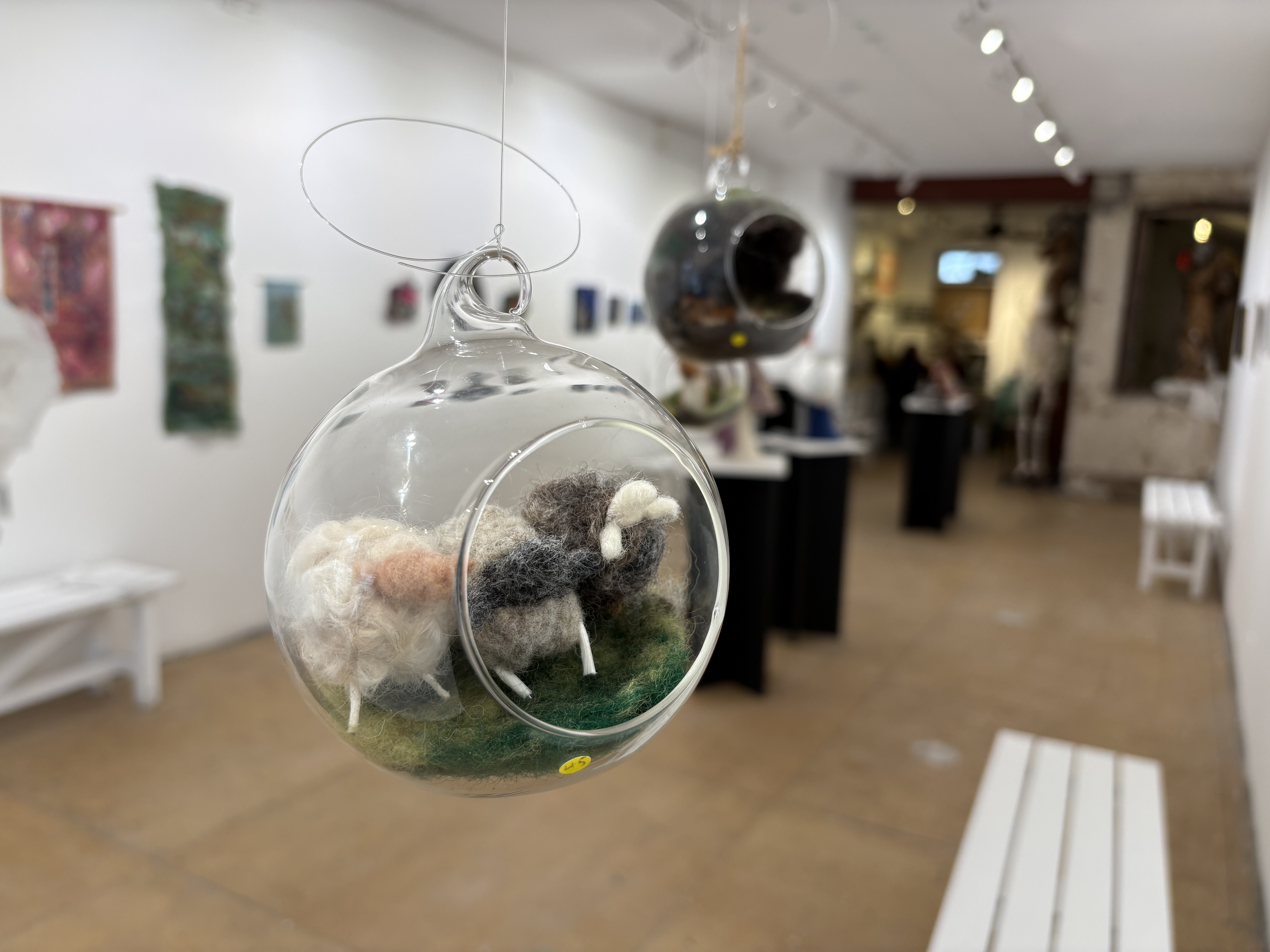 Nancy Johnston 1.png