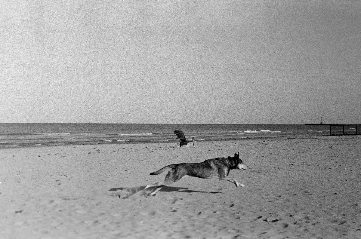 TMax 400 December 2024-339.jpg