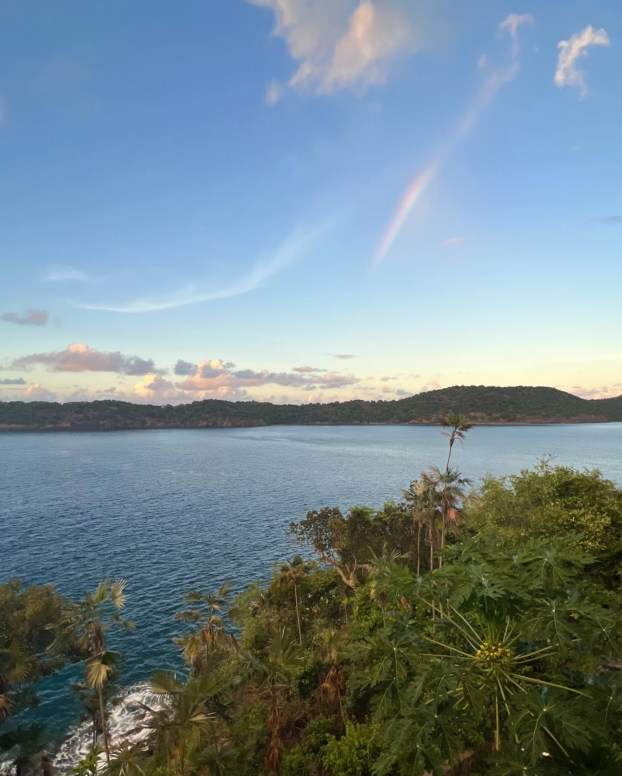 Scenic view of a large body of water with lush green trees along the shoreline, a small palm tree in the foreground, hills in the distance, and a partly cloudy sky with a faint rainbow.