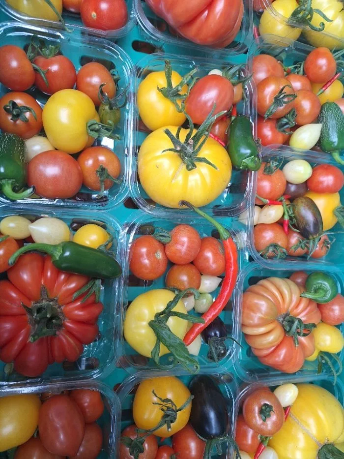 Nature-friendly food growing: Companion planting, natural fertilisers and natural pest control!