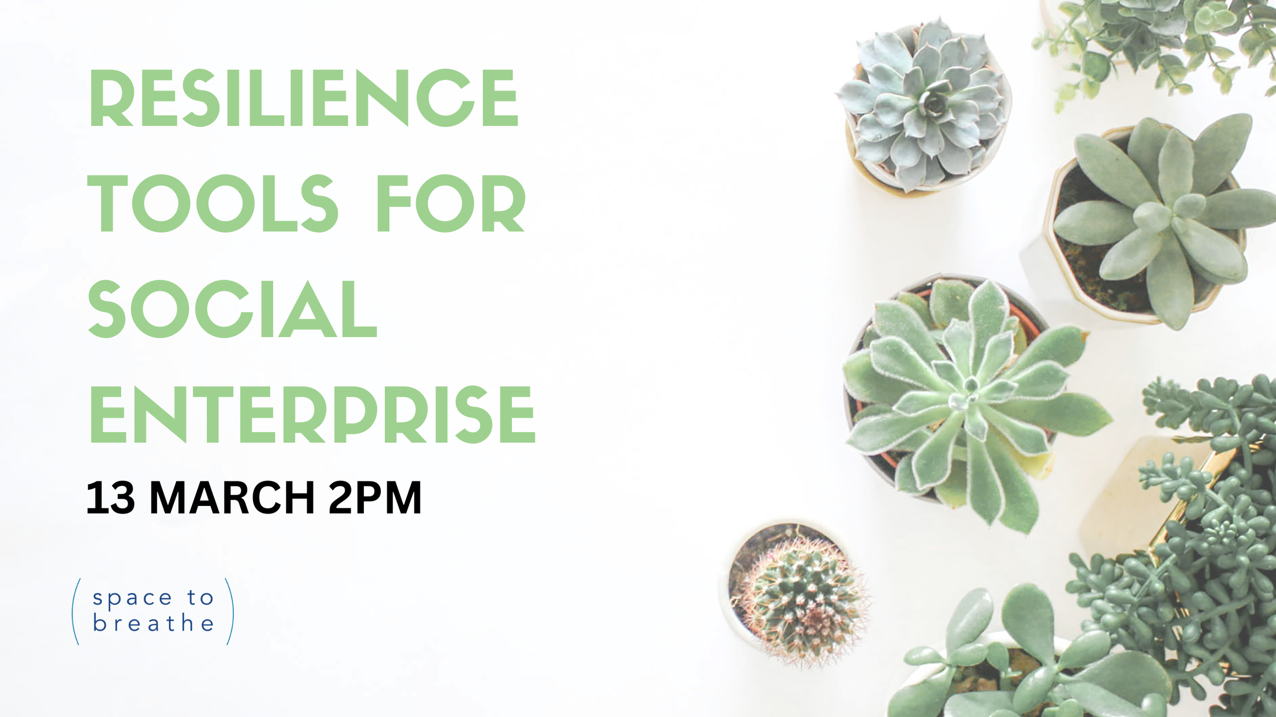 Resilience Tools for Social Enterprises