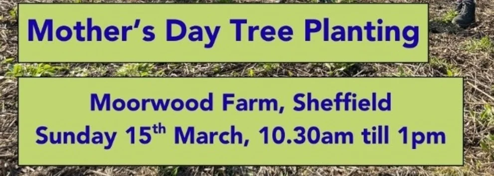Mother's Day planting event, Moorwood Farm, Sheffield